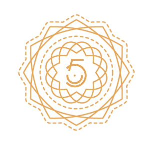 numuno-web-banners-18_4