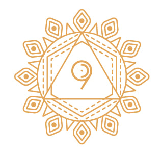 numuno-web-banners-22_4