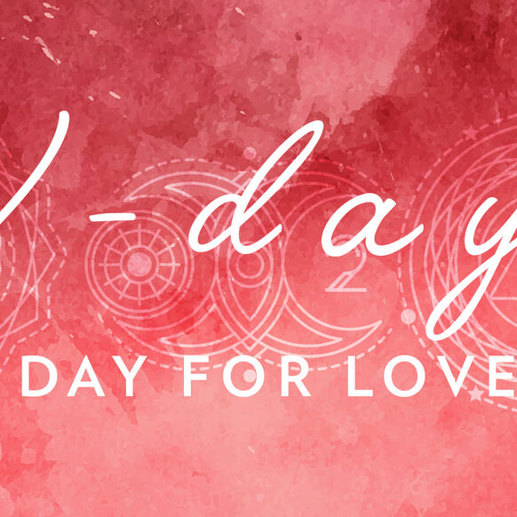 feb 2019 v day